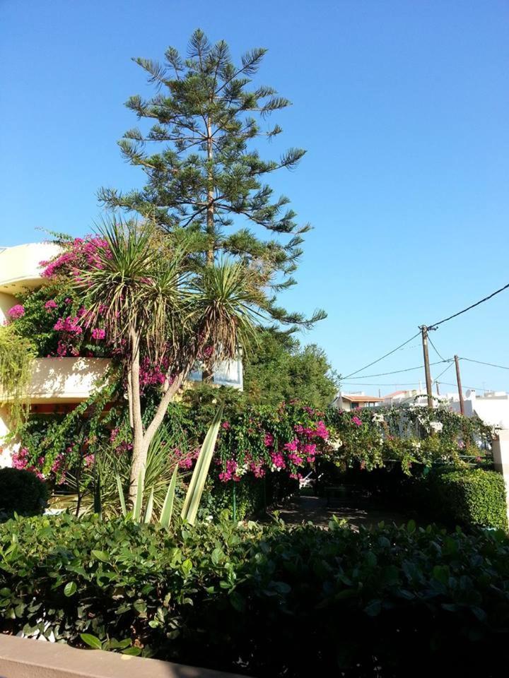 Pantheon Hotel (Adults Only) Atsipopoulo Dış mekan fotoğraf